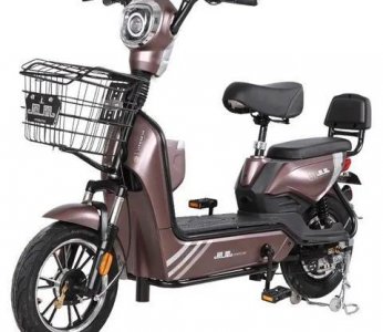 电动自行车和电动摩托车的区别 电动自行与摩托车的差别