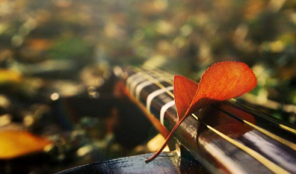 男友说想我了怎么回复显得高情商