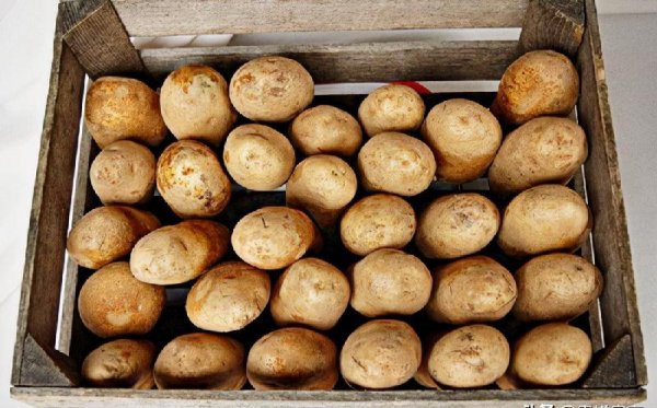 十大打农药最多的菜