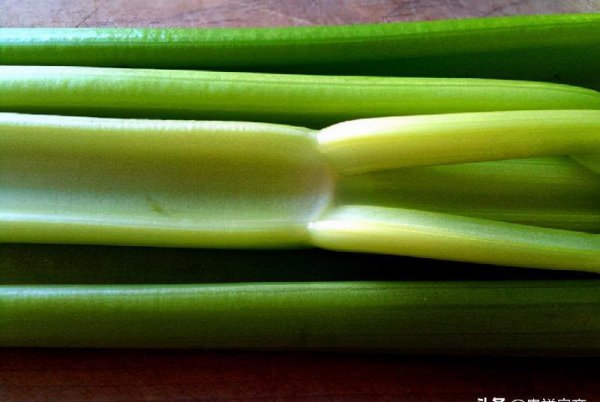 十大打农药最多的菜