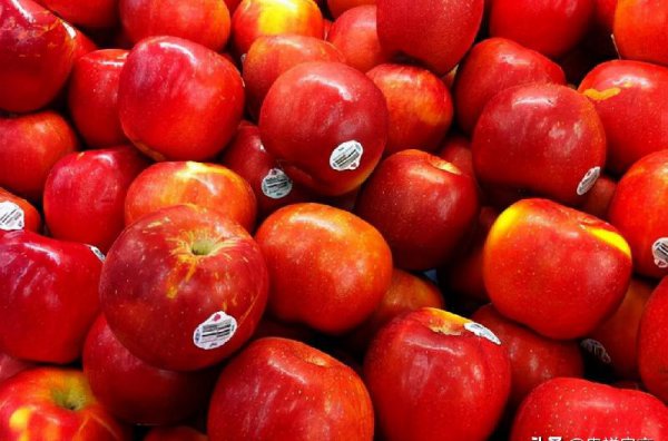 十大打农药最多的菜