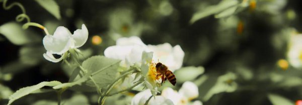男生喜欢女生有什么表现