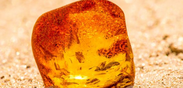 琥珀中什么珀最贵