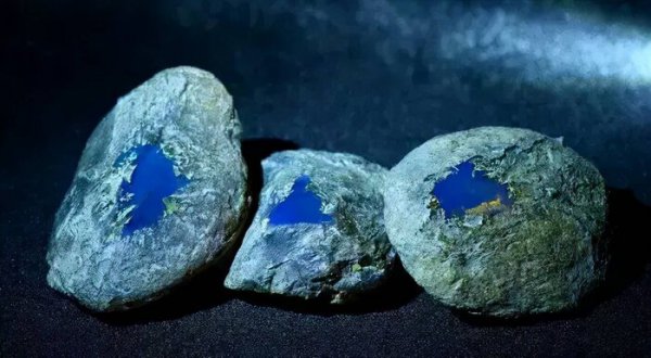 哪一种琥珀最名贵