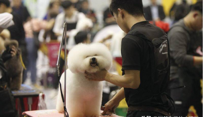 学什么技术最赚钱男生 男的适合学什么技术有前途