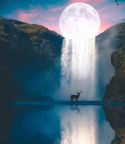 挽回女朋友的话