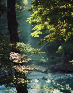 致自己人生感悟一段话 人生感悟一段很现实的话