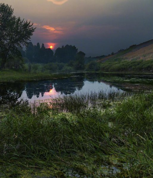 致自己人生感悟一段话