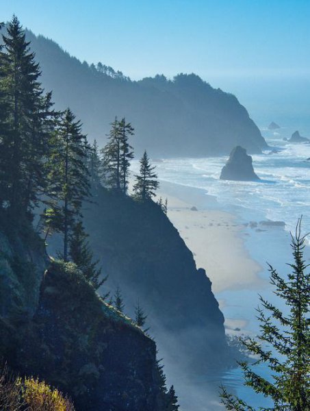 致自己人生感悟一段话