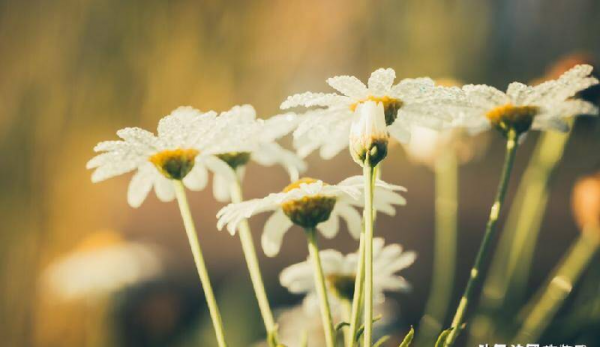 男朋友有外遇怎么处理是最好办法