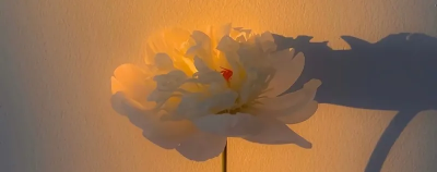 学生做什么兼职安全又赚钱 适合学生党做的兼职有哪些