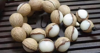 菩提根变色8个过程图 菩提根颜色变化过程照片