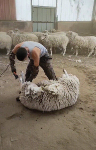 学什么技术挣两三万 什么技术好学又赚钱