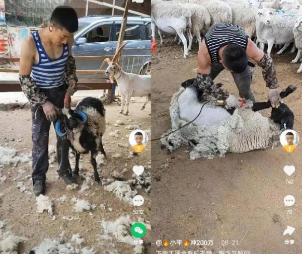 学什么技术挣两三万