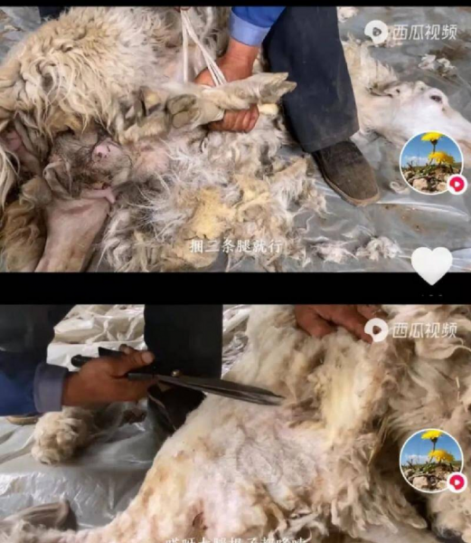 学什么技术挣两三万