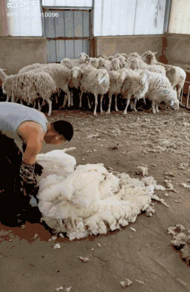 学什么技术挣两三万