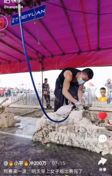 学什么技术挣两三万