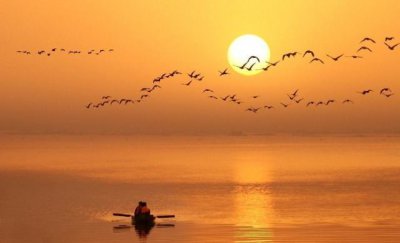 修心最好的佛语与语录 修心养性的佛经句子名句