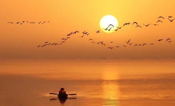 修心最好的佛语与语录