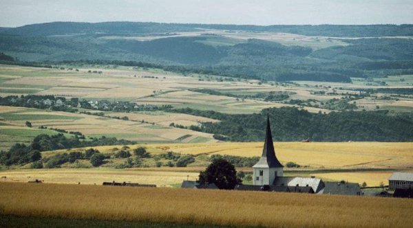 世界上最大的平原是哪个