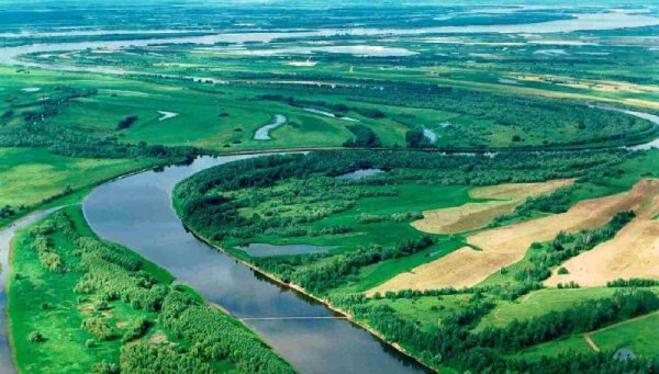 世界上最大的平原是哪个