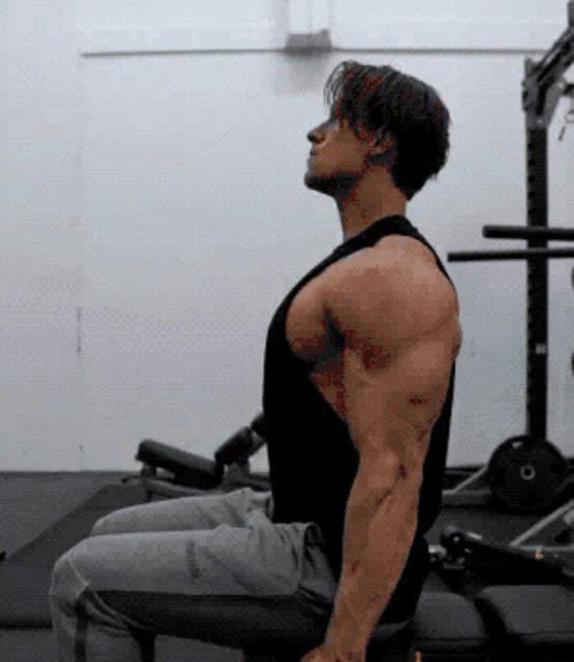 健身练肩最好的三个动作