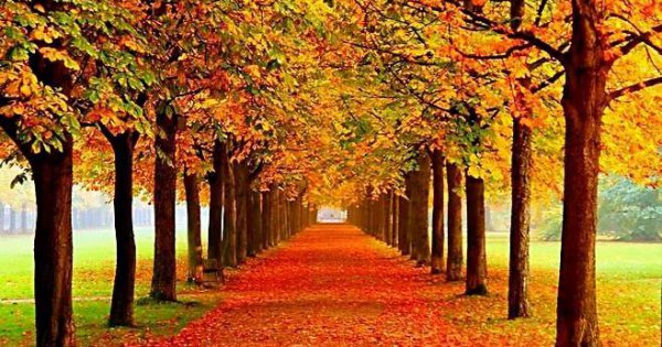 30年结婚纪念日是什么婚