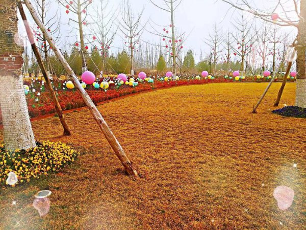 30年结婚纪念日是什么婚