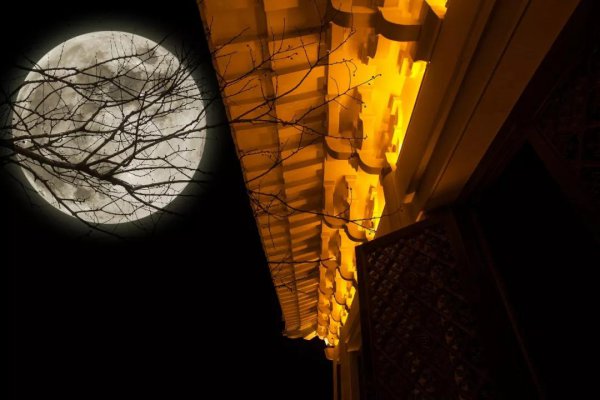 人生代代无穷已出自哪首诗