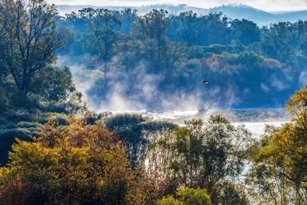 范仲淹最著名的一首诗词