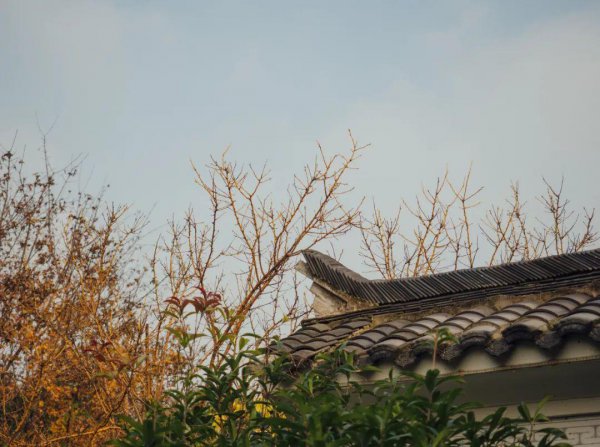 范仲淹最著名的一首诗词