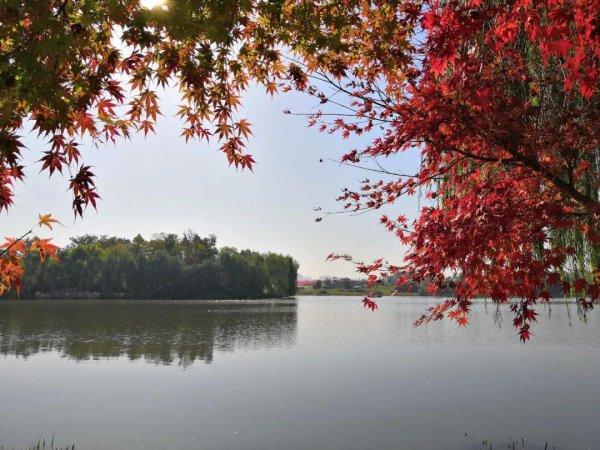 范仲淹最著名的一首诗词