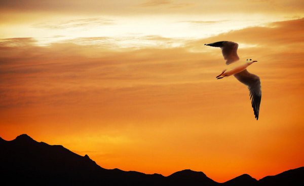 范仲淹有名10首诗词