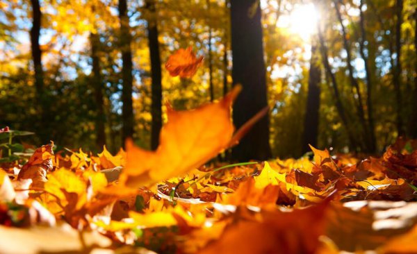 范仲淹有名10首诗词