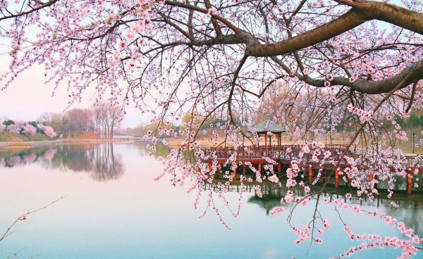 范仲淹有名10首诗词