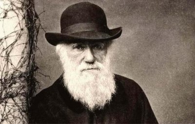 生物进化论被推翻了吗 达尔文进化论的内容是什么结果