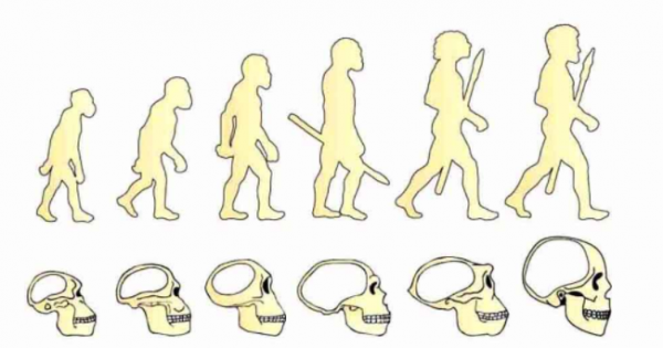 生物进化论被推翻了吗