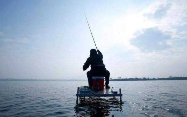 10大名贵淡水鱼排行