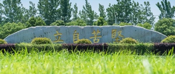 扬州大学几个校区