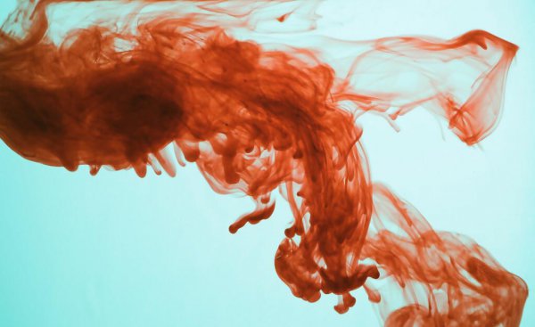 伊丽莎白巴托里伯爵夫人真实故事