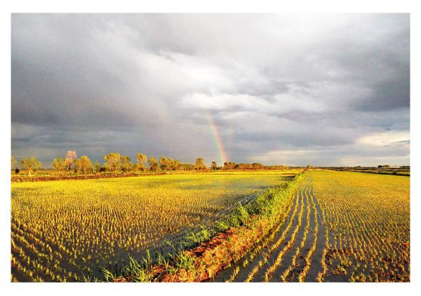 甘南县属于哪个省哪个市管辖