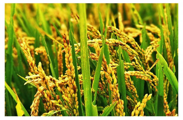 甘南县属于哪个省哪个市管辖