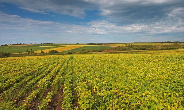 甘南县属于哪个省哪个市管辖