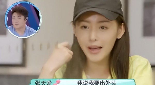 张天爱个人资料简历