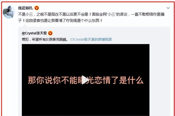 张天爱个人资料简历