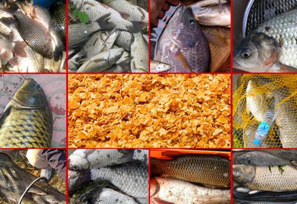 超诱的作用及使用方法