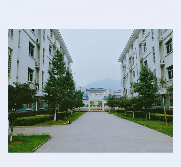 温州初中学校排名