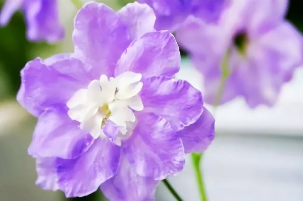 夫妻缘分尽了八个征兆