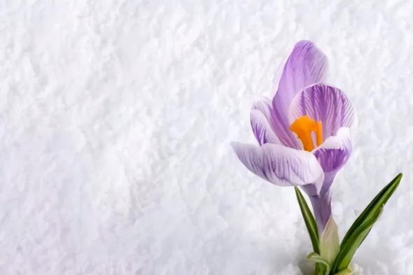 夫妻缘分尽了八个征兆