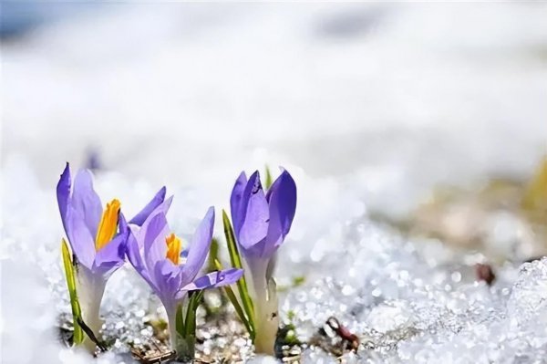 夫妻缘分尽了八个征兆